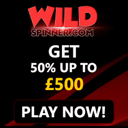 WildSpinner Casino